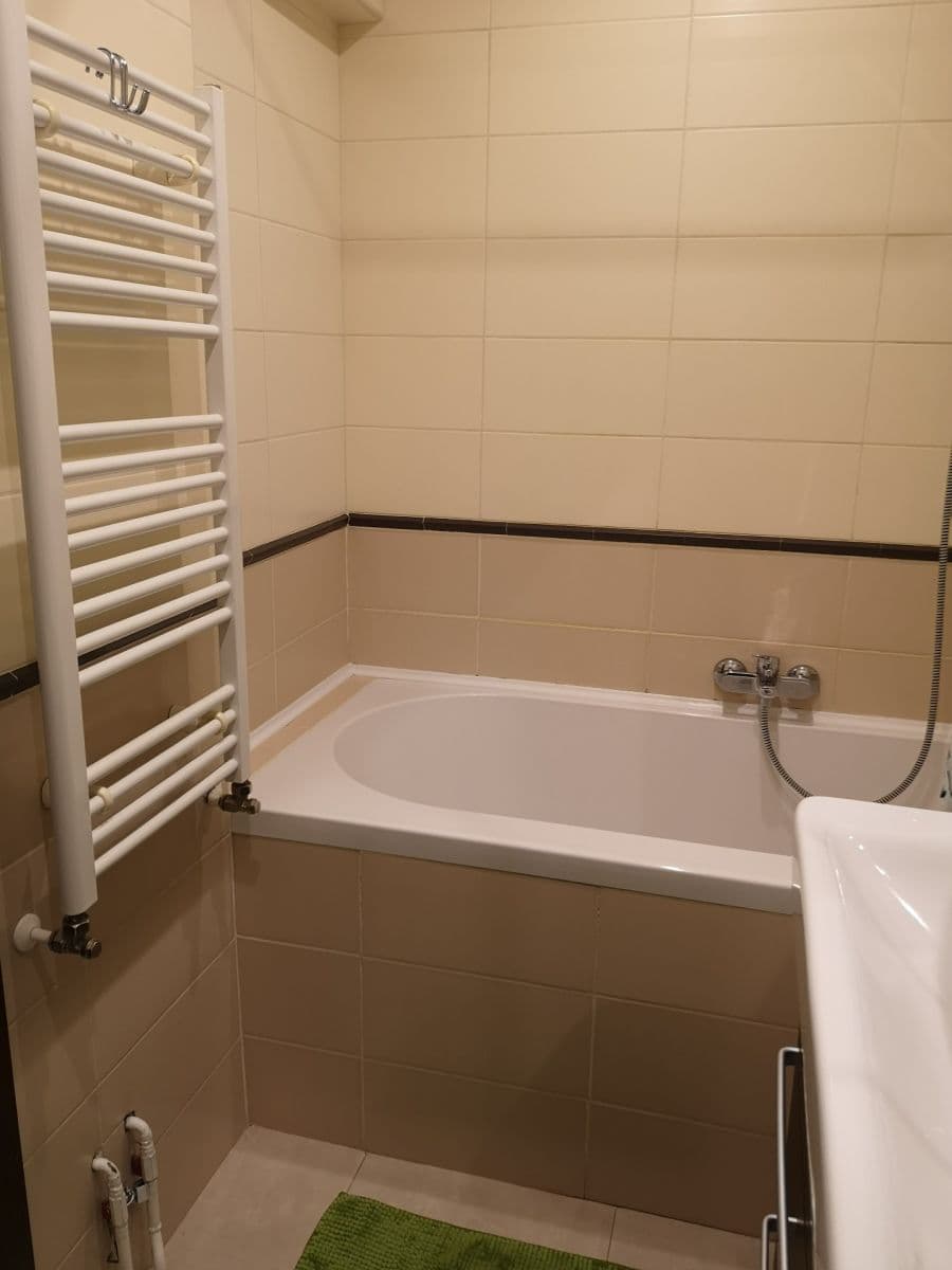 1 bedroom with open-plan kitchen flat to rent, 53 m², Hartigova, Prague, Prague 1 bedroom with open-plan kitchen flat to rent, 53 m², Hartigova, Prague, Prague