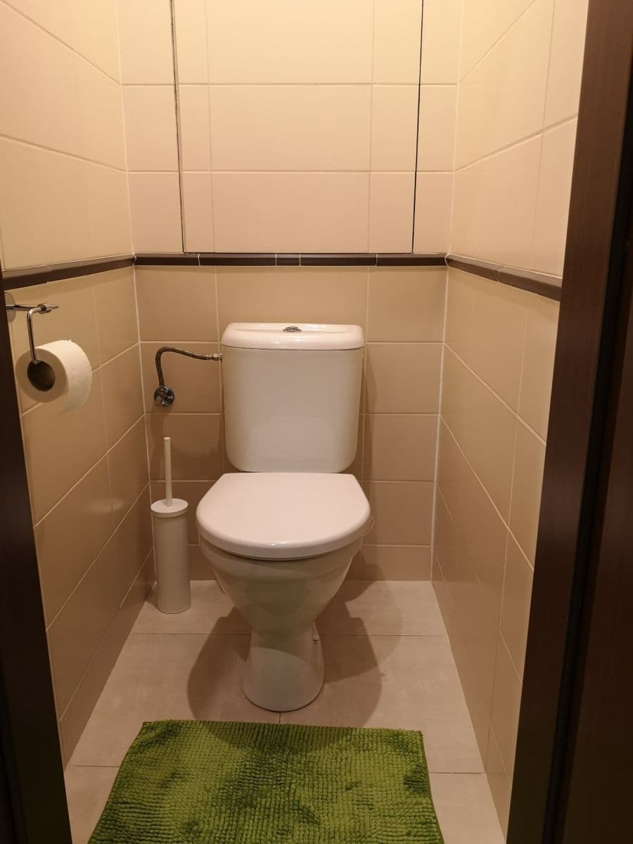 1 bedroom with open-plan kitchen flat to rent, 53 m², Hartigova, Prague, Prague 1 bedroom with open-plan kitchen flat to rent, 53 m², Hartigova, Prague, Prague