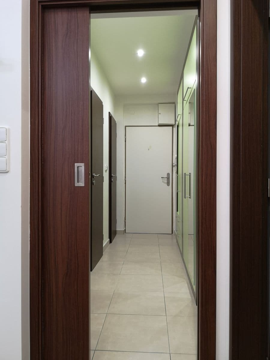 1 bedroom with open-plan kitchen flat to rent, 53 m², Hartigova, Prague, Prague 1 bedroom with open-plan kitchen flat to rent, 53 m², Hartigova, Prague, Prague