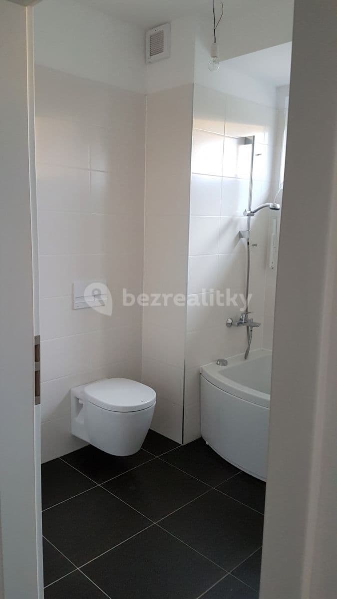 1 bedroom with open-plan kitchen flat to rent, 64 m², Makedonská, Prague, Prague
