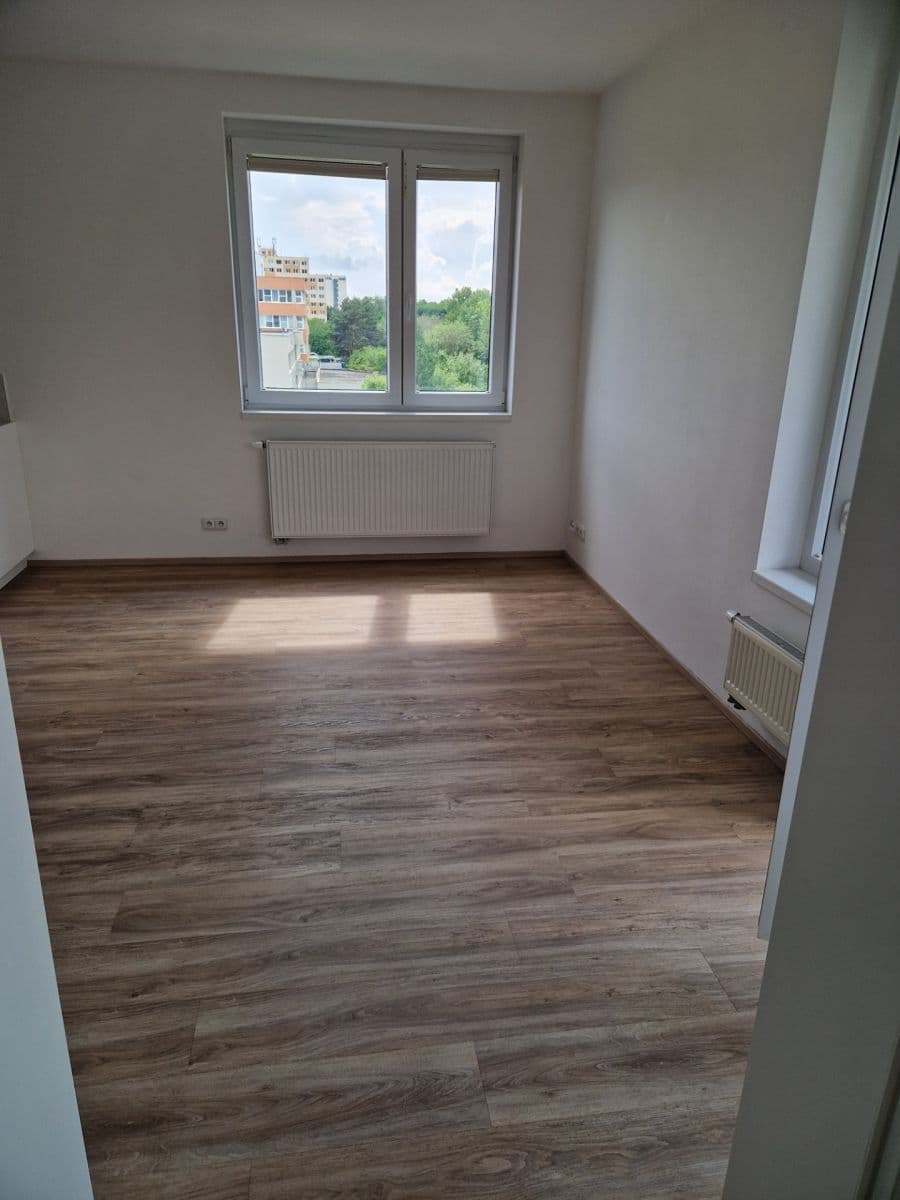 1 bedroom with open-plan kitchen flat to rent, 64 m², Makedonská, Prague, Prague 1 bedroom with open-plan kitchen flat to rent, 64 m², Makedonská, Prague, Prague