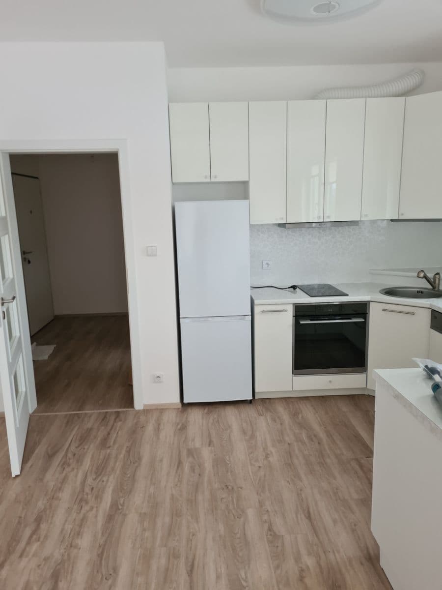 1 bedroom with open-plan kitchen flat to rent, 64 m², Makedonská, Prague, Prague 1 bedroom with open-plan kitchen flat to rent, 64 m², Makedonská, Prague, Prague