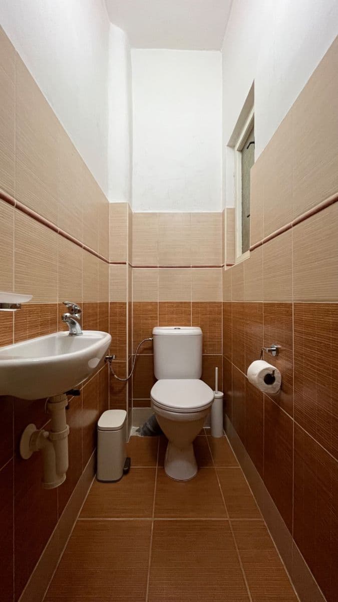 1 bedroom with open-plan kitchen flat to rent, 53 m², Pod Zvonařkou, Prague, Prague 1 bedroom with open-plan kitchen flat to rent, 53 m², Pod Zvonařkou, Prague, Prague