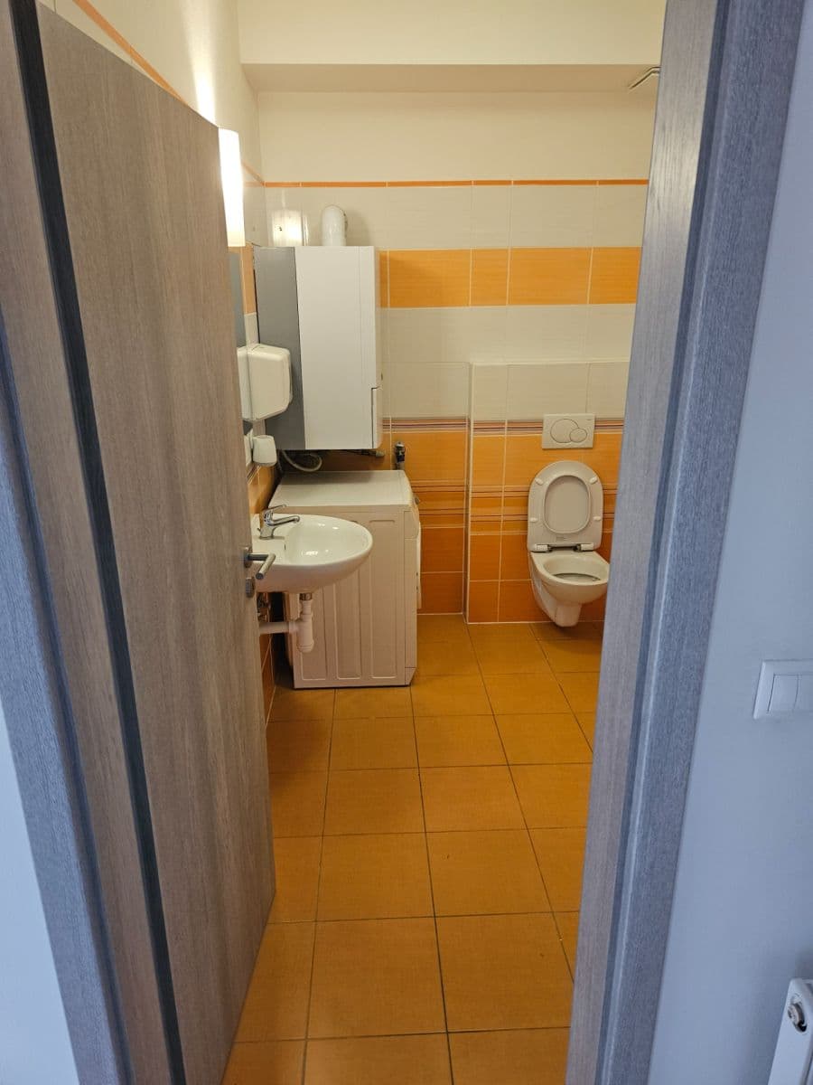 1 bedroom with open-plan kitchen flat to rent, 53 m², Na Výsluní, Říčany, Středočeský Region 1 bedroom with open-plan kitchen flat to rent, 53 m², Na Výsluní, Říčany, Středočeský Region