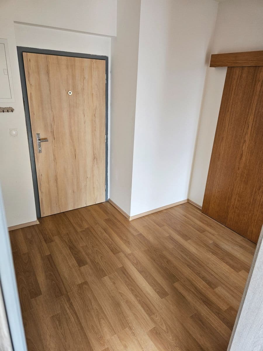 1 bedroom with open-plan kitchen flat to rent, 53 m², Na Výsluní, Říčany, Středočeský Region 1 bedroom with open-plan kitchen flat to rent, 53 m², Na Výsluní, Říčany, Středočeský Region