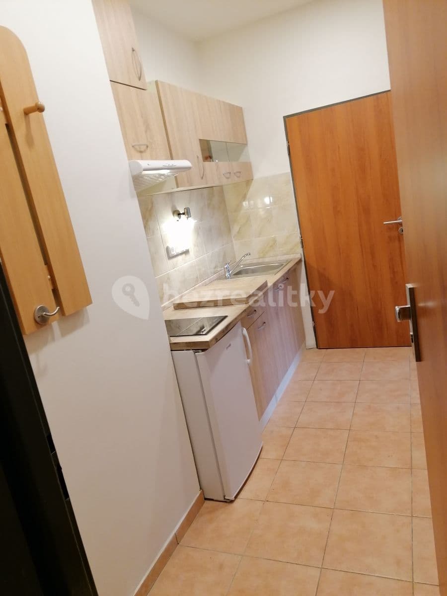 1 bedroom with open-plan kitchen flat to rent, 43 m², U Strže, Prague, Prague 1 bedroom with open-plan kitchen flat to rent, 43 m², U Strže, Prague, Prague