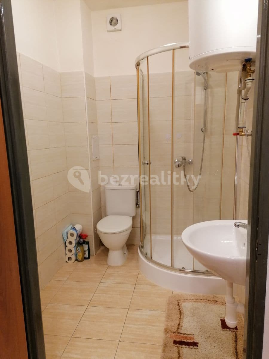 1 bedroom with open-plan kitchen flat to rent, 43 m², U Strže, Prague, Prague 1 bedroom with open-plan kitchen flat to rent, 43 m², U Strže, Prague, Prague