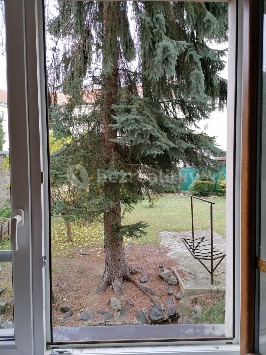 1 bedroom with open-plan kitchen flat to rent, 43 m², U Strže, Prague, Prague 1 bedroom with open-plan kitchen flat to rent, 43 m², U Strže, Prague, Prague