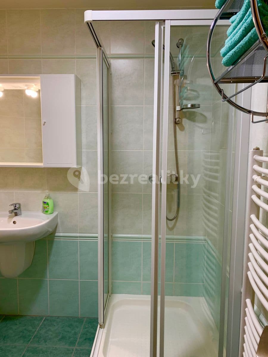 Studio flat to rent, 38 m², Bedřichov, Špindlerův Mlýn, Královéhradecký Region Studio flat to rent, 38 m², Bedřichov, Špindlerův Mlýn, Královéhradecký Region