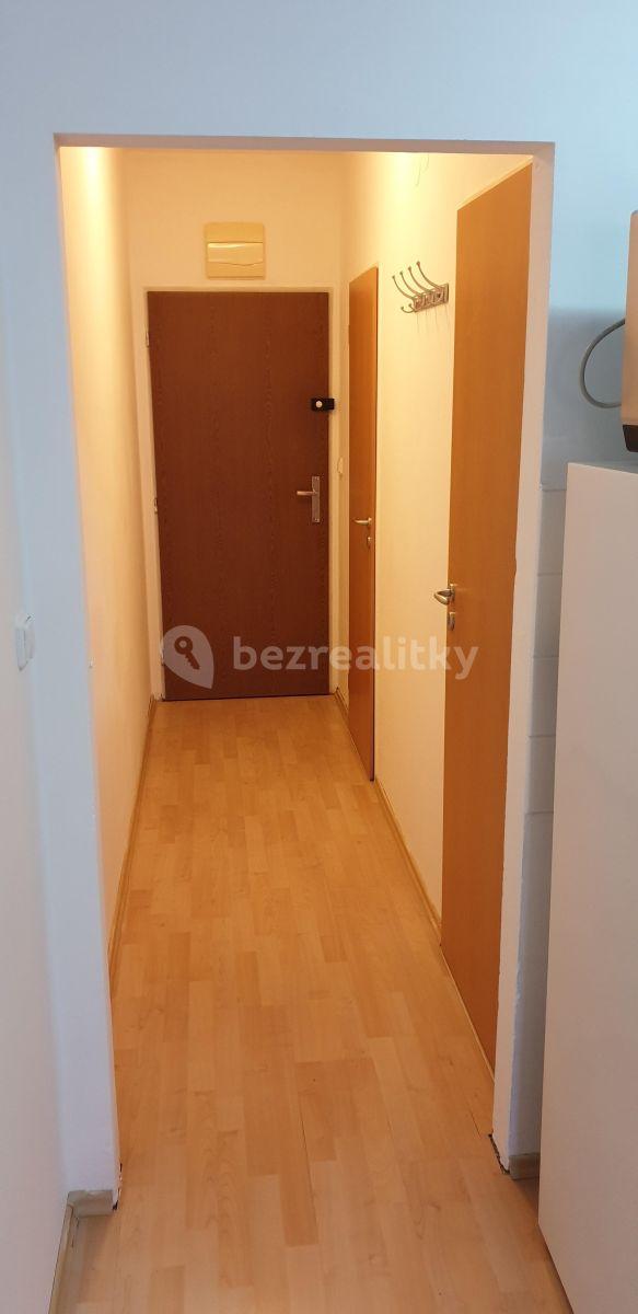 1 bedroom with open-plan kitchen flat to rent, 38 m², Hnězdenská, Prague, Prague