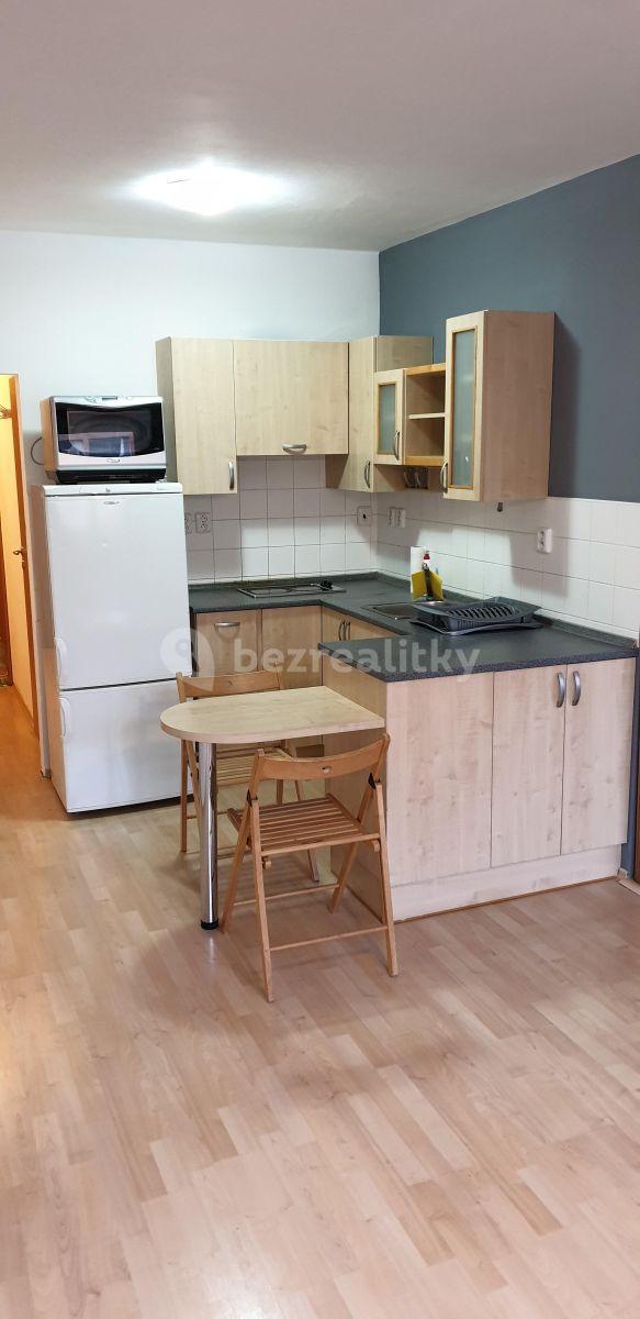1 bedroom with open-plan kitchen flat to rent, 38 m², Hnězdenská, Prague, Prague