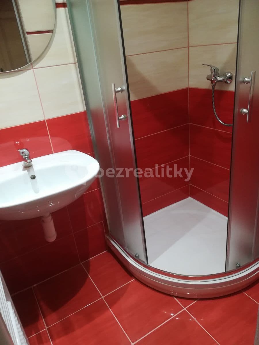 1 bedroom with open-plan kitchen flat to rent, 53 m², Víta Nejedlého, Prague, Prague 1 bedroom with open-plan kitchen flat to rent, 53 m², Víta Nejedlého, Prague, Prague