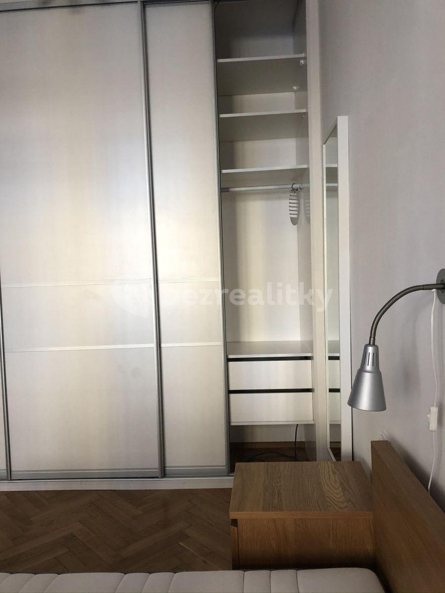 1 bedroom with open-plan kitchen flat to rent, 60 m², Křížkovského, Prague, Prague
