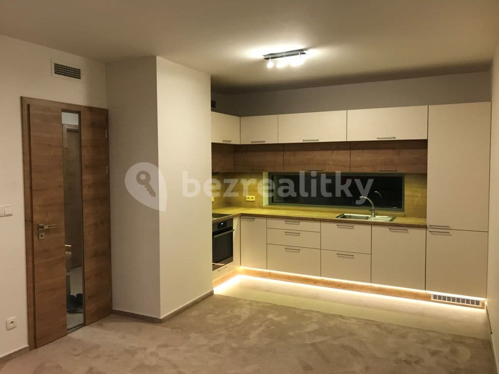 1 bedroom with open-plan kitchen flat to rent, 49 m², Prachnerova, Prague, Prague 1 bedroom with open-plan kitchen flat to rent, 49 m², Prachnerova, Prague, Prague