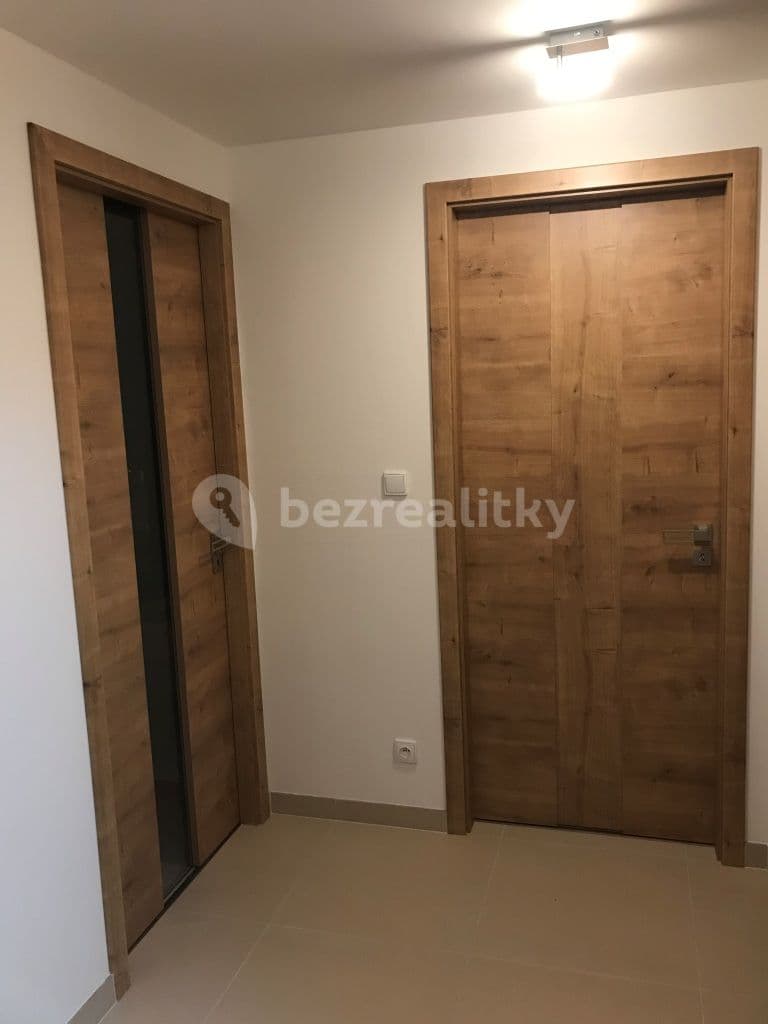 1 bedroom with open-plan kitchen flat to rent, 49 m², Prachnerova, Prague, Prague 1 bedroom with open-plan kitchen flat to rent, 49 m², Prachnerova, Prague, Prague
