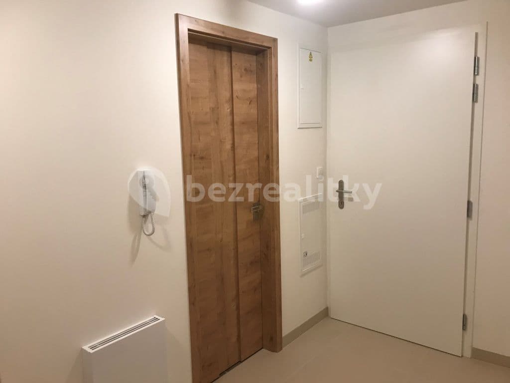 1 bedroom with open-plan kitchen flat to rent, 49 m², Prachnerova, Prague, Prague 1 bedroom with open-plan kitchen flat to rent, 49 m², Prachnerova, Prague, Prague