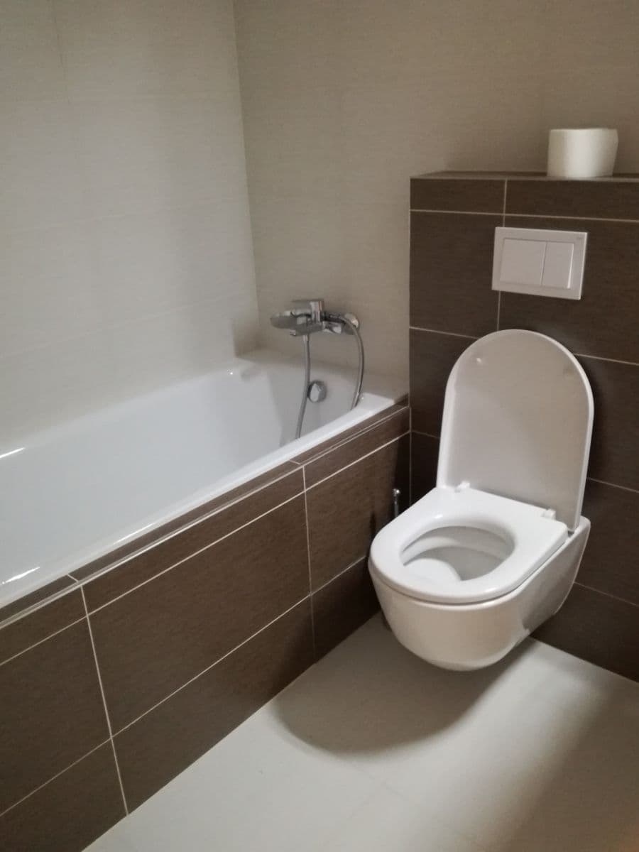 1 bedroom with open-plan kitchen flat to rent, 60 m², Svatošových, Prague, Prague 1 bedroom with open-plan kitchen flat to rent, 60 m², Svatošových, Prague, Prague