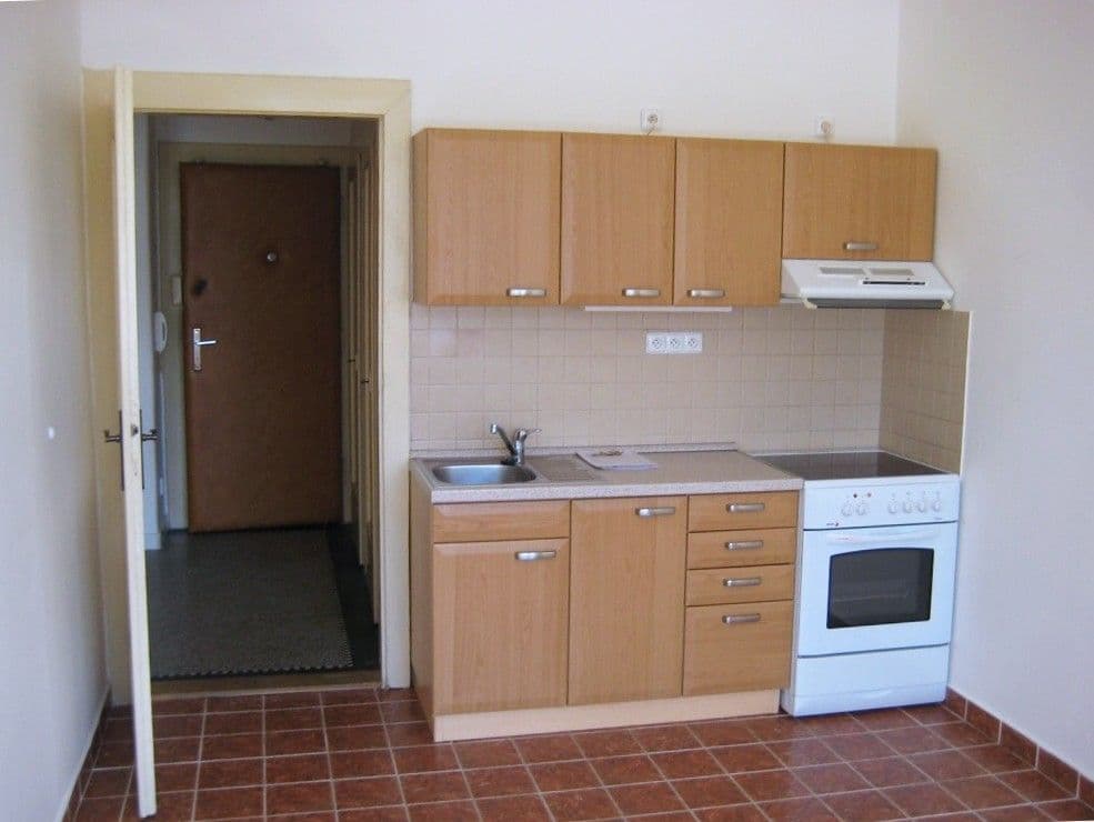 1 bedroom with open-plan kitchen flat to rent, 45 m², Bulharská, Prague, Prague 1 bedroom with open-plan kitchen flat to rent, 45 m², Bulharská, Prague, Prague