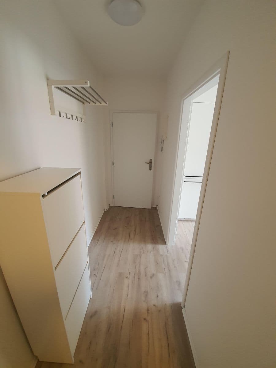 1 bedroom with open-plan kitchen flat to rent, 33 m², Boženy Němcové, Brno, Jihomoravský Region 1 bedroom with open-plan kitchen flat to rent, 33 m², Boženy Němcové, Brno, Jihomoravský Region