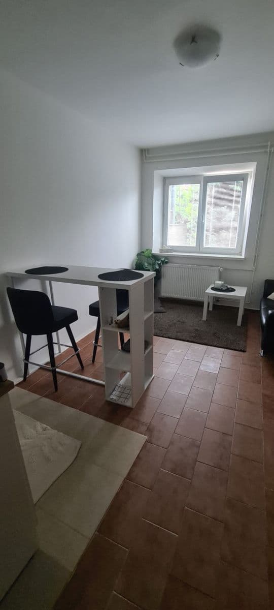 1 bedroom with open-plan kitchen flat to rent, 35 m², Sibiřská, Brno, Jihomoravský Region 1 bedroom with open-plan kitchen flat to rent, 35 m², Sibiřská, Brno, Jihomoravský Region