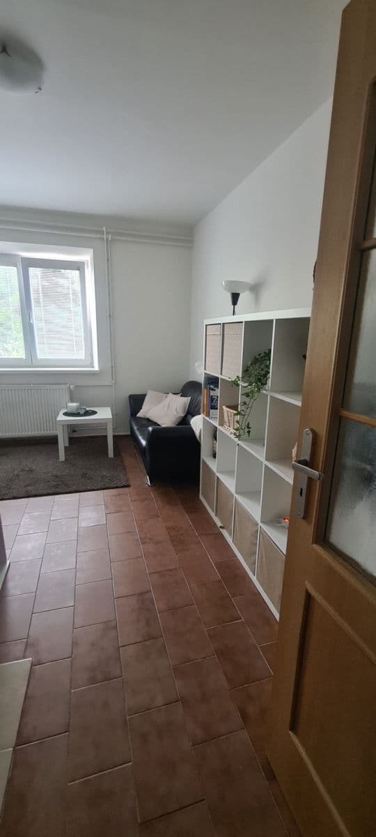 1 bedroom with open-plan kitchen flat to rent, 35 m², Sibiřská, Brno, Jihomoravský Region 1 bedroom with open-plan kitchen flat to rent, 35 m², Sibiřská, Brno, Jihomoravský Region
