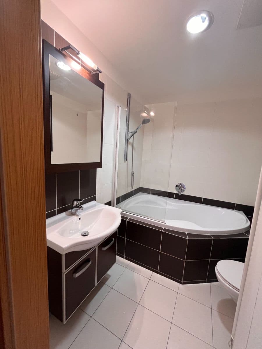 1 bedroom with open-plan kitchen flat to rent, 54 m², Linhartova, Prague, Prague 1 bedroom with open-plan kitchen flat to rent, 54 m², Linhartova, Prague, Prague