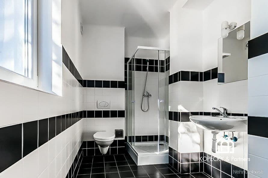 1 bedroom with open-plan kitchen flat to rent, 60 m², Moravanská, Prague, Prague 1 bedroom with open-plan kitchen flat to rent, 60 m², Moravanská, Prague, Prague