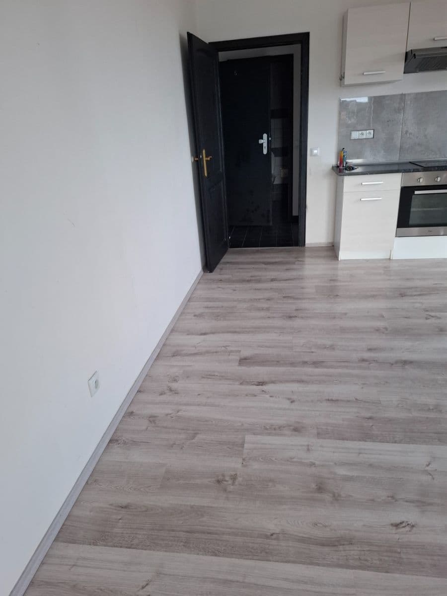 1 bedroom with open-plan kitchen flat to rent, 60 m², Moravanská, Prague, Prague 1 bedroom with open-plan kitchen flat to rent, 60 m², Moravanská, Prague, Prague