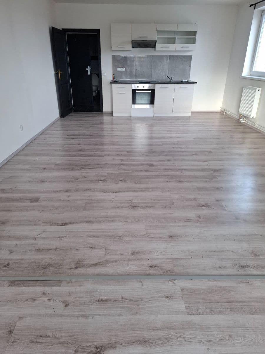 1 bedroom with open-plan kitchen flat to rent, 60 m², Moravanská, Prague, Prague 1 bedroom with open-plan kitchen flat to rent, 60 m², Moravanská, Prague, Prague