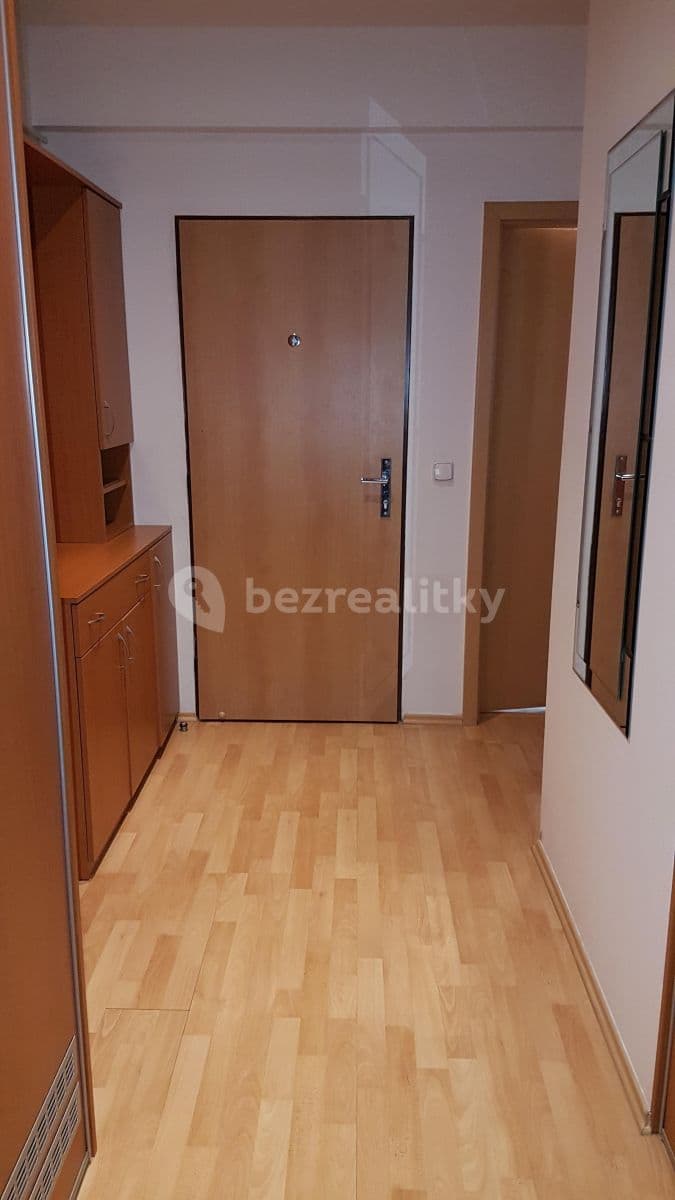 2 bedroom with open-plan kitchen flat to rent, 85 m², Zelený pruh, Prague, Prague 2 bedroom with open-plan kitchen flat to rent, 85 m², Zelený pruh, Prague, Prague
