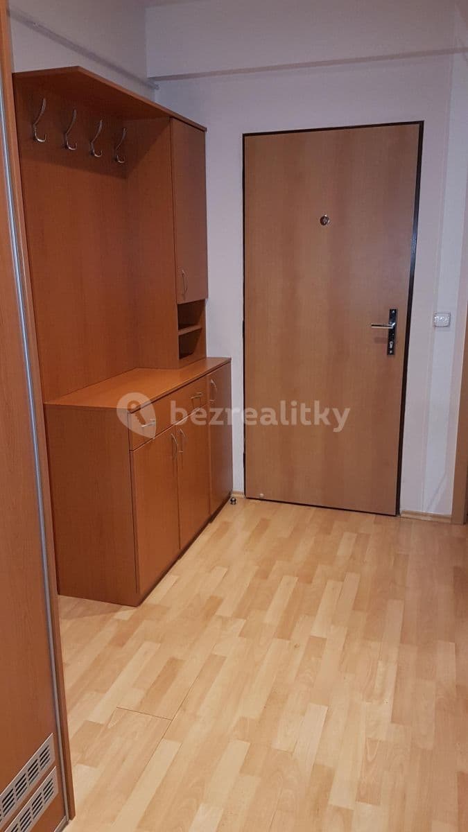 2 bedroom with open-plan kitchen flat to rent, 85 m², Zelený pruh, Prague, Prague 2 bedroom with open-plan kitchen flat to rent, 85 m², Zelený pruh, Prague, Prague