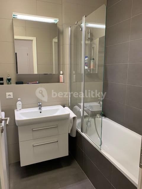 1 bedroom with open-plan kitchen flat to rent, 54 m², Na Vackově, Prague, Prague 1 bedroom with open-plan kitchen flat to rent, 54 m², Na Vackově, Prague, Prague