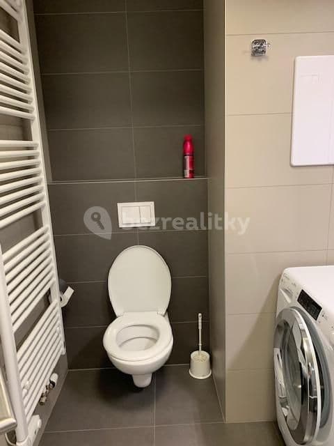 1 bedroom with open-plan kitchen flat to rent, 54 m², Na Vackově, Prague, Prague 1 bedroom with open-plan kitchen flat to rent, 54 m², Na Vackově, Prague, Prague