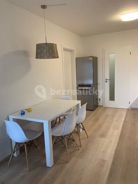 1 bedroom with open-plan kitchen flat to rent, 54 m², Na Vackově, Prague, Prague 1 bedroom with open-plan kitchen flat to rent, 54 m², Na Vackově, Prague, Prague