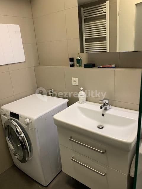 1 bedroom with open-plan kitchen flat to rent, 54 m², Na Vackově, Prague, Prague 1 bedroom with open-plan kitchen flat to rent, 54 m², Na Vackově, Prague, Prague