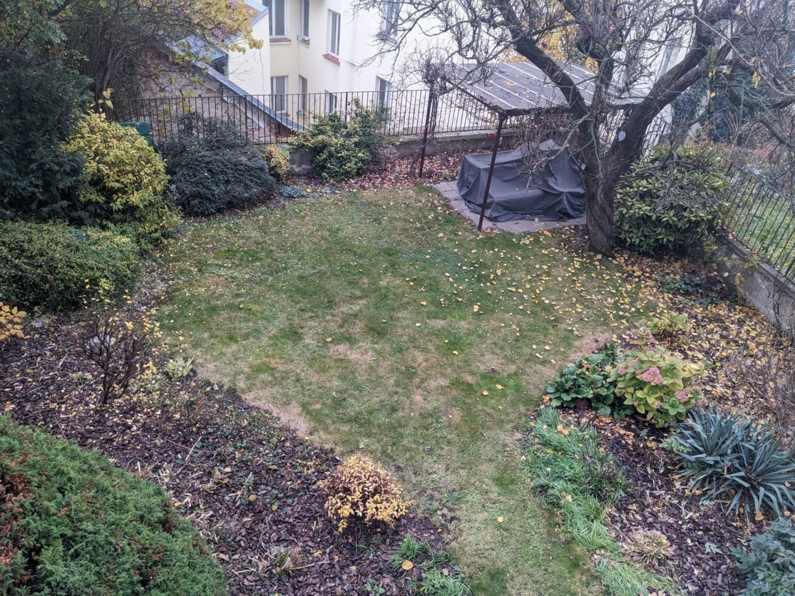 Small studio flat to rent, 24 m², Pellicova, Brno, Jihomoravský Region Small studio flat to rent, 24 m², Pellicova, Brno, Jihomoravský Region