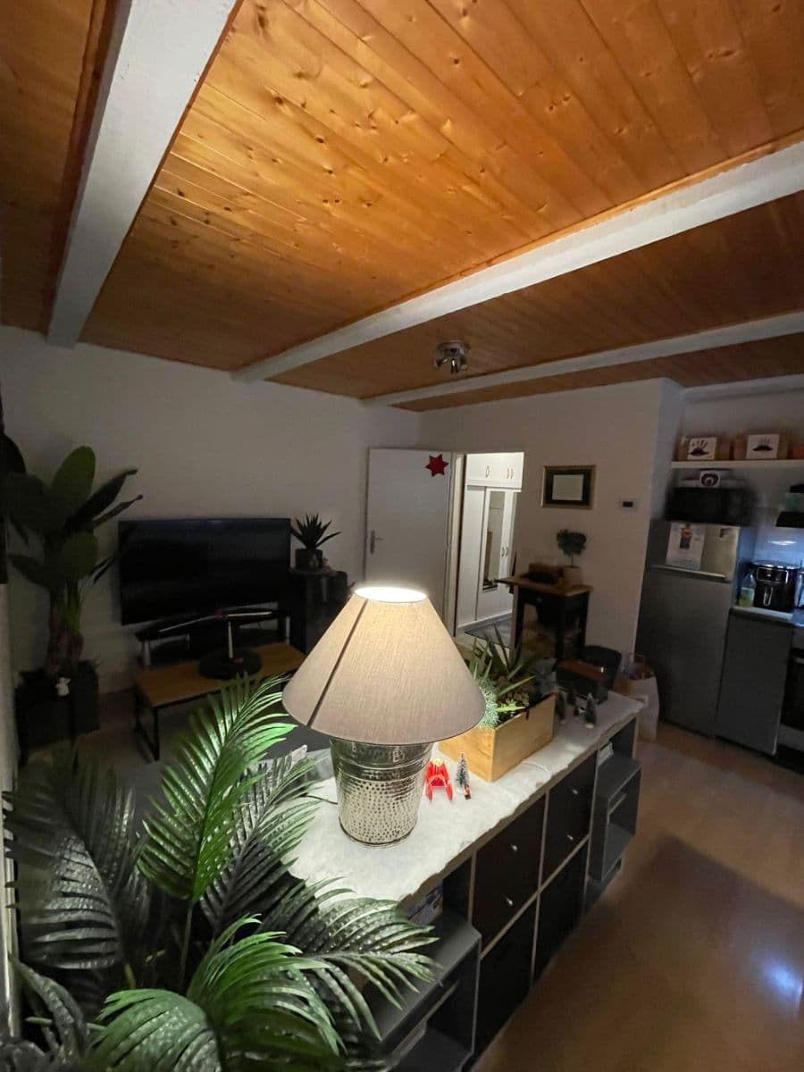 1 bedroom with open-plan kitchen flat to rent, 60 m², Skalecká, Mníšek pod Brdy, Středočeský Region 1 bedroom with open-plan kitchen flat to rent, 60 m², Skalecká, Mníšek pod Brdy, Středočeský Region