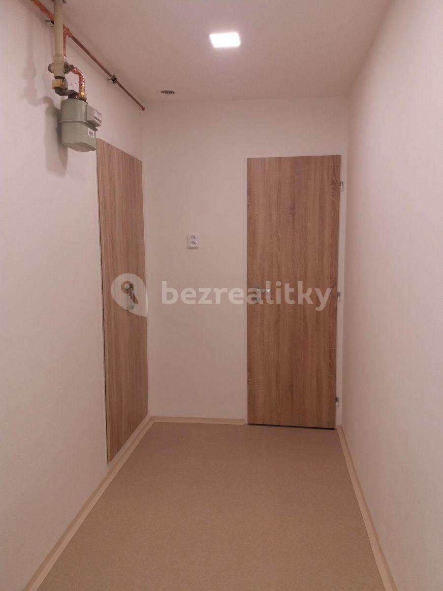 1 bedroom flat to rent, 36 m², Zenklova, Prague, Prague