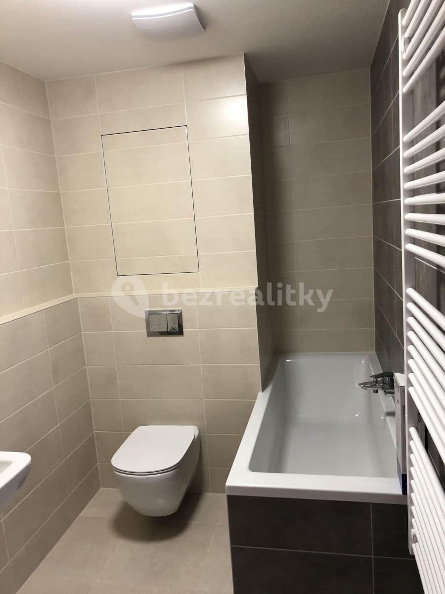 1 bedroom with open-plan kitchen flat to rent, 52 m², Oty Bubeníčka, Prague, Prague 1 bedroom with open-plan kitchen flat to rent, 52 m², Oty Bubeníčka, Prague, Prague