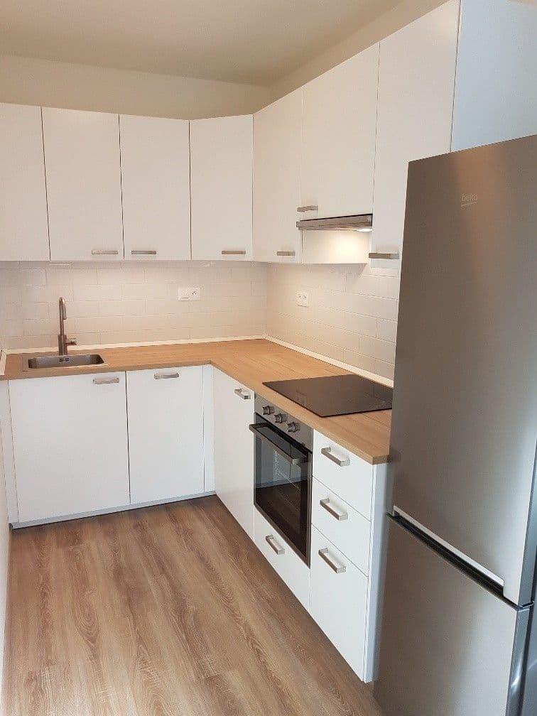 1 bedroom with open-plan kitchen flat to rent, 53 m², Miroslava Hajna, Prague, Prague 1 bedroom with open-plan kitchen flat to rent, 53 m², Miroslava Hajna, Prague, Prague