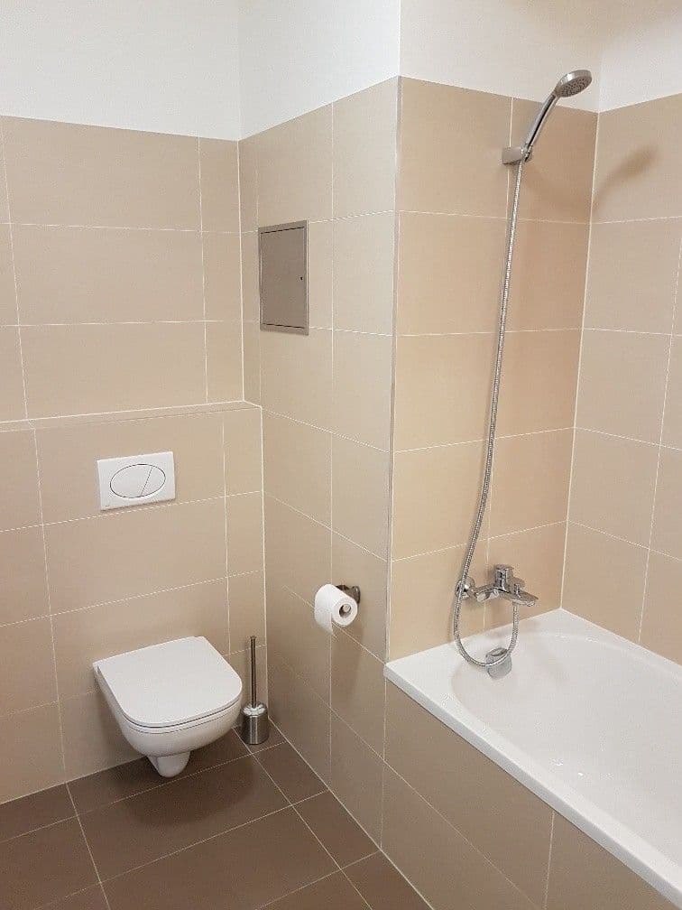 1 bedroom with open-plan kitchen flat to rent, 53 m², Miroslava Hajna, Prague, Prague 1 bedroom with open-plan kitchen flat to rent, 53 m², Miroslava Hajna, Prague, Prague