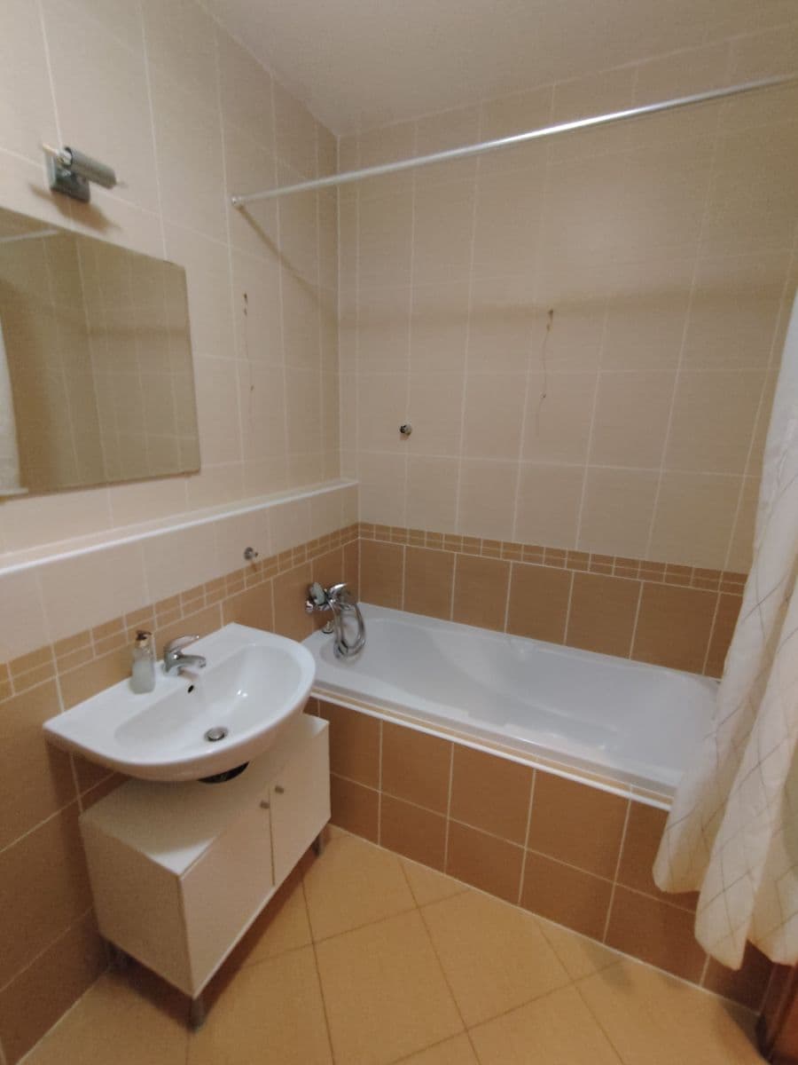 1 bedroom with open-plan kitchen flat to rent, 42 m², Kamelova, Prague, Prague 1 bedroom with open-plan kitchen flat to rent, 42 m², Kamelova, Prague, Prague