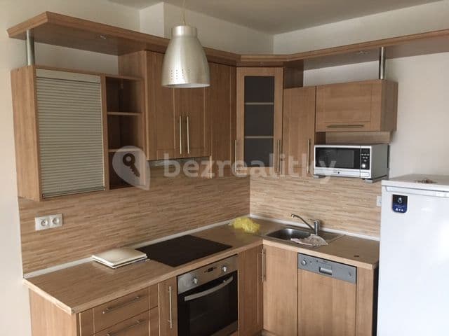 2 bedroom with open-plan kitchen flat to rent, 76 m², K Červenému Vrchu, Prague, Prague 2 bedroom with open-plan kitchen flat to rent, 76 m², K Červenému Vrchu, Prague, Prague
