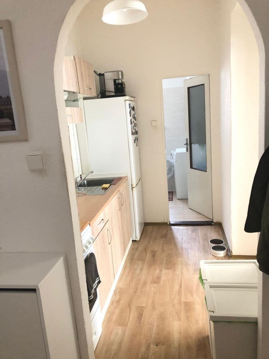 1 bedroom with open-plan kitchen flat to rent, 49 m², U Strže, Prague, Prague 1 bedroom with open-plan kitchen flat to rent, 49 m², U Strže, Prague, Prague