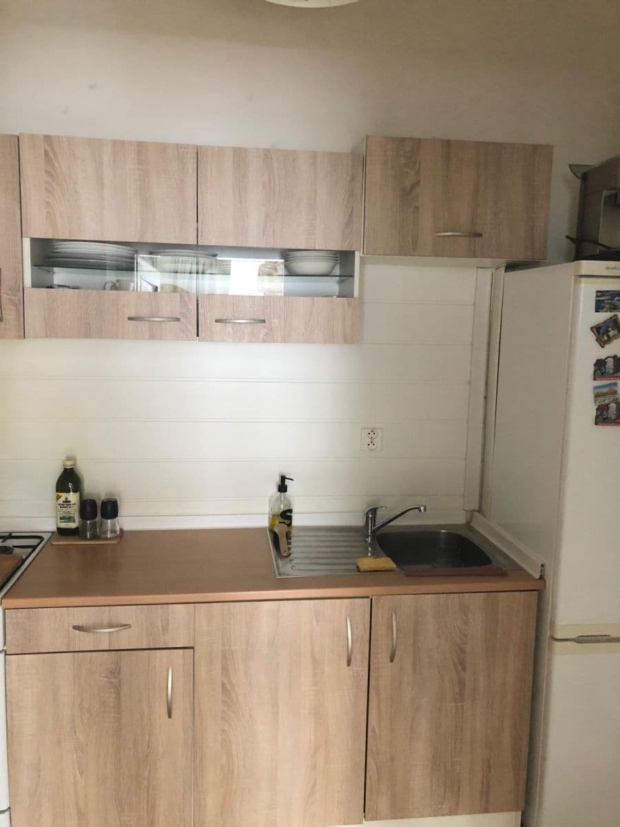 1 bedroom with open-plan kitchen flat to rent, 49 m², U Strže, Prague, Prague 1 bedroom with open-plan kitchen flat to rent, 49 m², U Strže, Prague, Prague