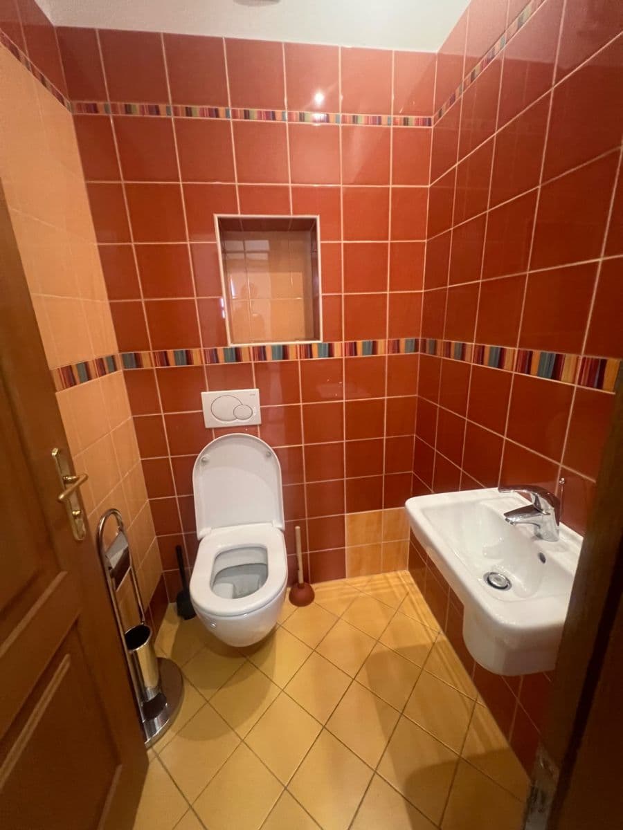 1 bedroom with open-plan kitchen flat to rent, 52 m², Slezská, Prague, Prague 1 bedroom with open-plan kitchen flat to rent, 52 m², Slezská, Prague, Prague