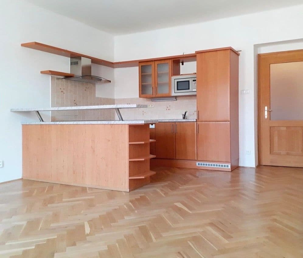 1 bedroom with open-plan kitchen flat to rent, 52 m², Slezská, Prague, Prague 1 bedroom with open-plan kitchen flat to rent, 52 m², Slezská, Prague, Prague