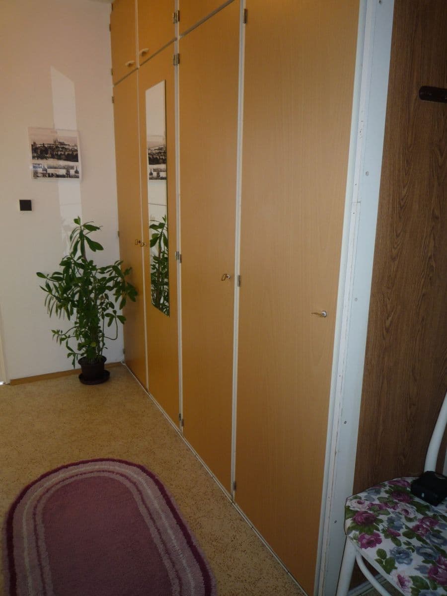 1 bedroom with open-plan kitchen flat to rent, 47 m², Petržílkova, Prague, Prague 1 bedroom with open-plan kitchen flat to rent, 47 m², Petržílkova, Prague, Prague