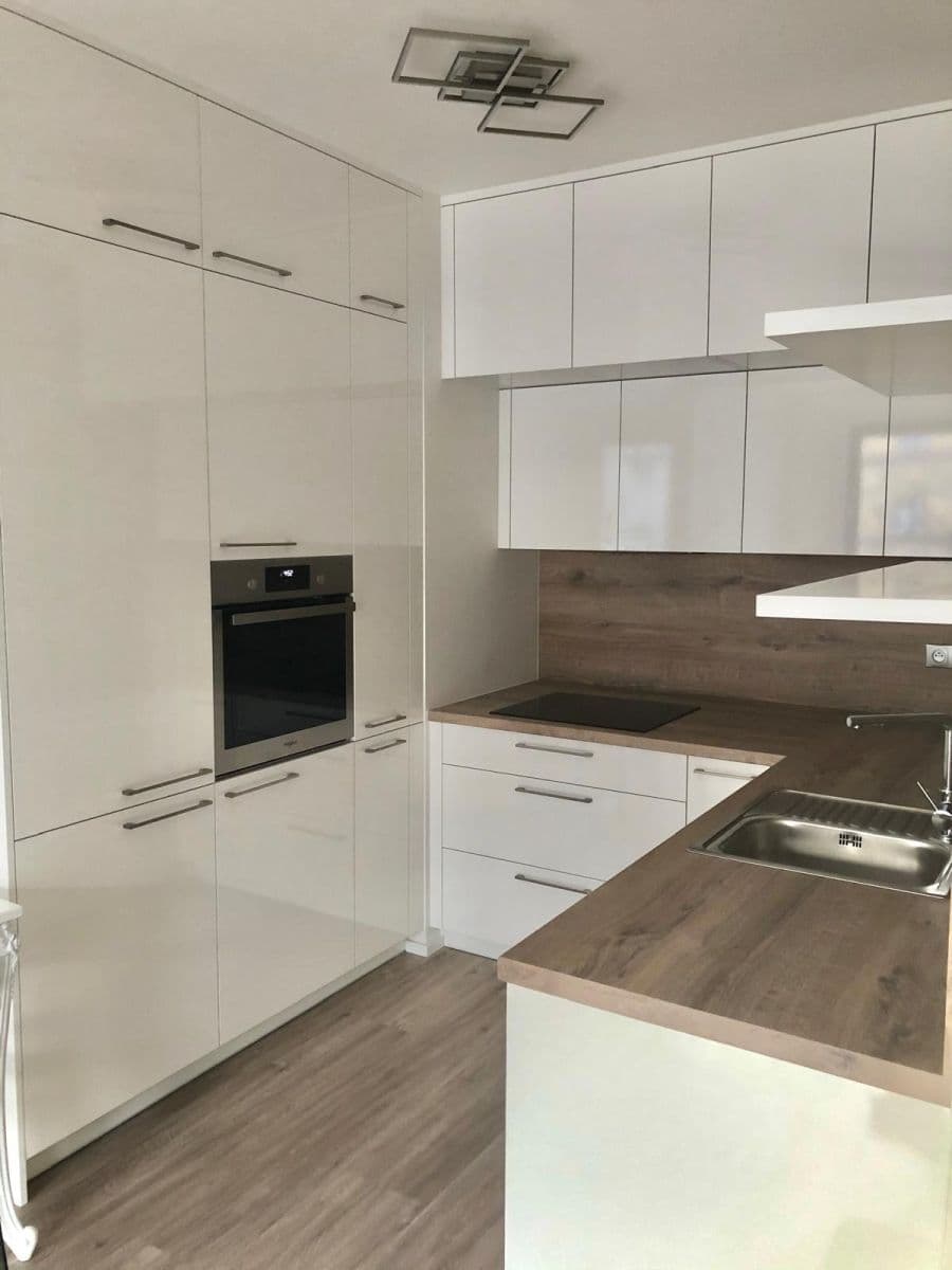 1 bedroom with open-plan kitchen flat to rent, 51 m², Bassova, Prague, Prague 1 bedroom with open-plan kitchen flat to rent, 51 m², Bassova, Prague, Prague