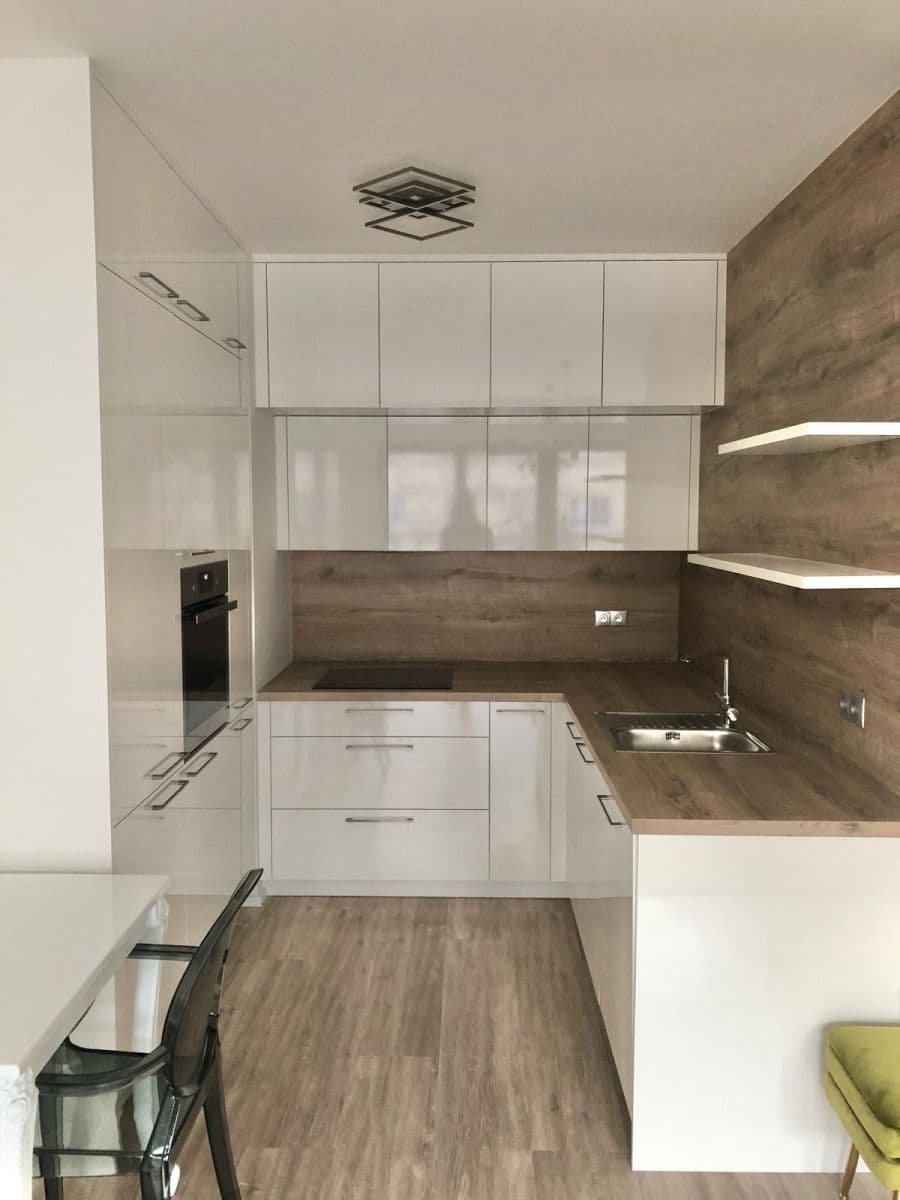 1 bedroom with open-plan kitchen flat to rent, 51 m², Bassova, Prague, Prague 1 bedroom with open-plan kitchen flat to rent, 51 m², Bassova, Prague, Prague